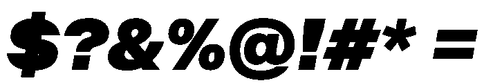 BALGrotesk BlackItalic Instance Font OTHER CHARS
