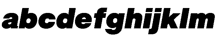 BALGrotesk BlackItalic Instance FONT