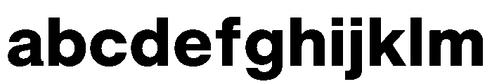BALGrotesk Bold Instance FONT