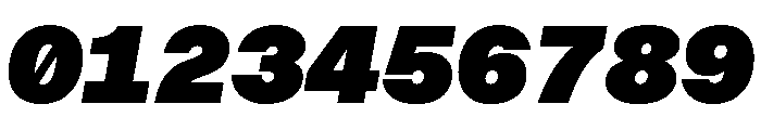 BALGroteskMono BlackItalic Instance Font OTHER CHARS