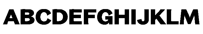 Bagoss TRIAL ExtendedBold Instance Font UPPERCASE