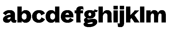 Bagoss TRIAL ExtendedBold Instance FONT
