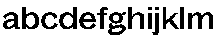 Bagoss TRIAL ExtendedMedium Instance FONT