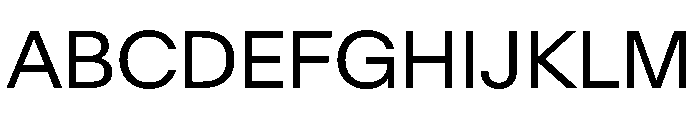 Baikal Book 014fdb84 Font UPPERCASE