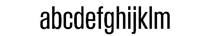 Baikal ExtraCondBook 0cc08638 FONT