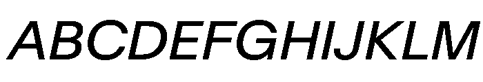 Baikal Italic 1f3616dd Font UPPERCASE
