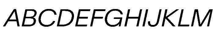 Baikal LightItalic 8770d428 Font UPPERCASE