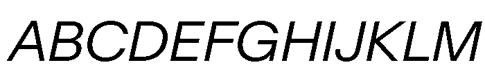 Baikal LightItalic 942493e4 Font UPPERCASE