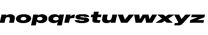 Baikal UltExpBlackIta 225b5f36 Font LOWERCASE