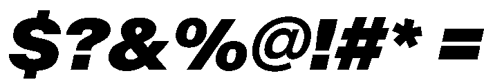 BaikalVAR BlackItalic Instance Font OTHER CHARS