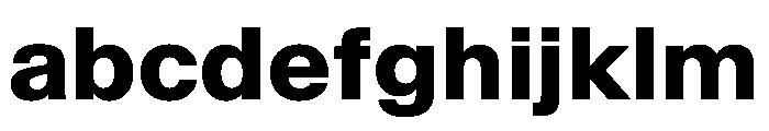 BaikalVAR Bold Instance FONT