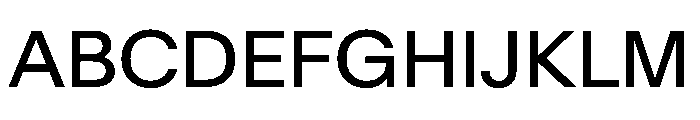 BaikalVAR Regular Instance Font UPPERCASE