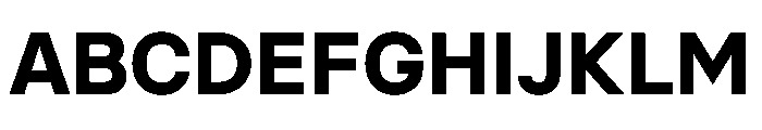 BasierSquare Bold Font UPPERCASE