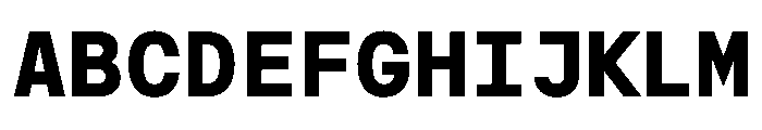 BasierSquareMono Bold Font UPPERCASE