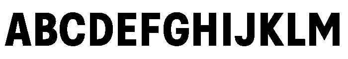 BasierSquareNarrow Bold Font UPPERCASE