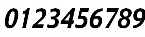 Barnaul Grotesk ExtraBold Italic Font OTHER CHARS