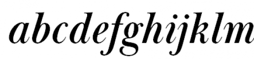 Baskerville Display PT Display Bold Italic FONT