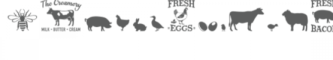 barnyard dingbats font Font UPPERCASE