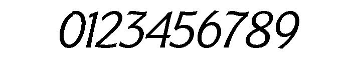 Badger Light Italic Font OTHER CHARS