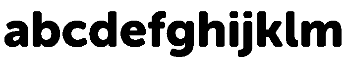 Berthold Block W1g Extra Bold FONT