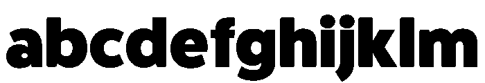 Berthold Block W1g Regular FONT