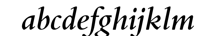Bergamo-Medium-Italic Font LOWERCASE