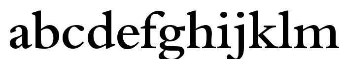Bergamo-Medium-Regular Font LOWERCASE