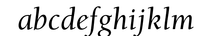 BerkeleyStd-Italic Font LOWERCASE