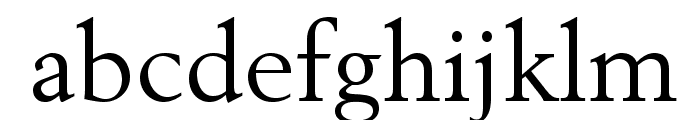 BerlingLTStd-Roman Font LOWERCASE