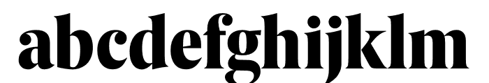 Berlingske Serif Condensed Black Font LOWERCASE