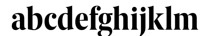 Berlingske Serif Condensed Bold Font LOWERCASE