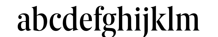 Berlingske Serif Condensed Medium Font LOWERCASE