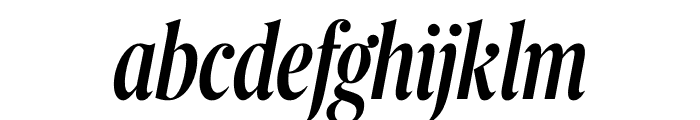 Berlingske Serif Extra condensed Medium Italic Font LOWERCASE