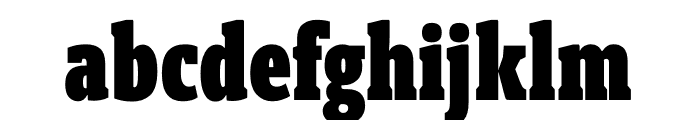 Berlingske Slab Extra condensed Black Font LOWERCASE