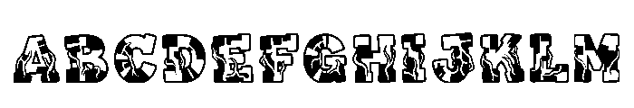 Beata Regular FONT
