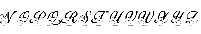 Beauty Lilly Flower Monogram Font LOWERCASE