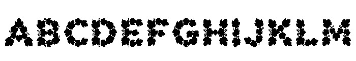 Becca Regular FONT