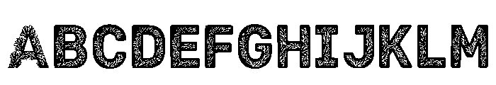 Bedi Regular Font UPPERCASE