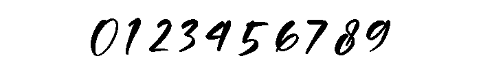 Belarise Regular Font OTHER CHARS