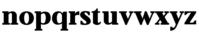 Belvoria Serif Variable Black Font LOWERCASE