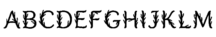 Berne Regular FONT