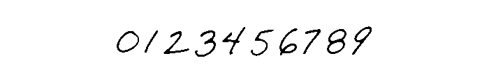 Berry Doodle Script Bold Font OTHER CHARS