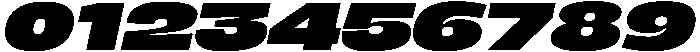 BERIER Black Oblique otf (900) Font OTHER CHARS