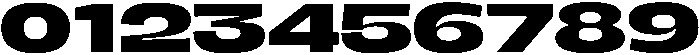 BERIER Bold otf (700) Font OTHER CHARS