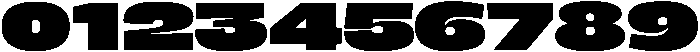 BERIER Extra Black otf (900) Font OTHER CHARS