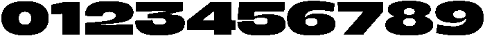 BERIER Extra Bold otf (700) Font OTHER CHARS