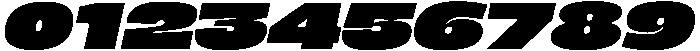 BERIER Fat Oblique otf (800) Font OTHER CHARS
