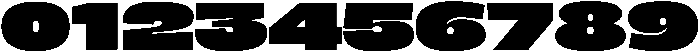 BERIER Fat otf (800) Font OTHER CHARS