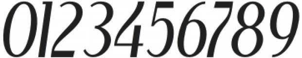 BEROSE-Oblique otf (400) Font OTHER CHARS