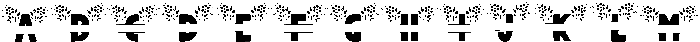 Beautiful Spring Flowers Monogr ttf (400) FONT